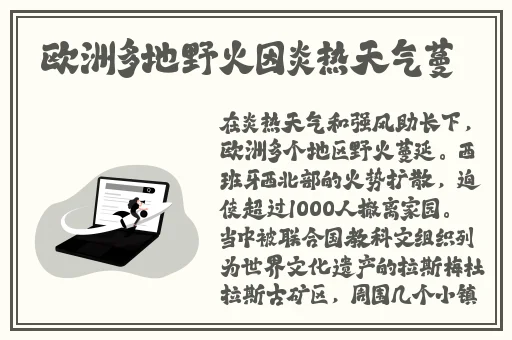 韩国电影办公室3免费完整版百度云